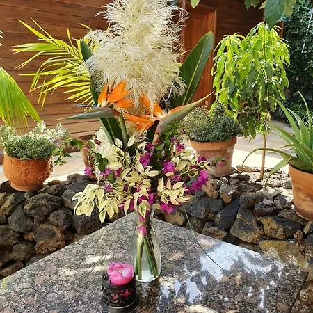 Apartment Rubin Entspannen In Privater Wellness Finca La Orotava