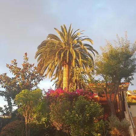 Lejlighed Apartment Rubin Entspannen In Privater Wellness Finca La Orotava